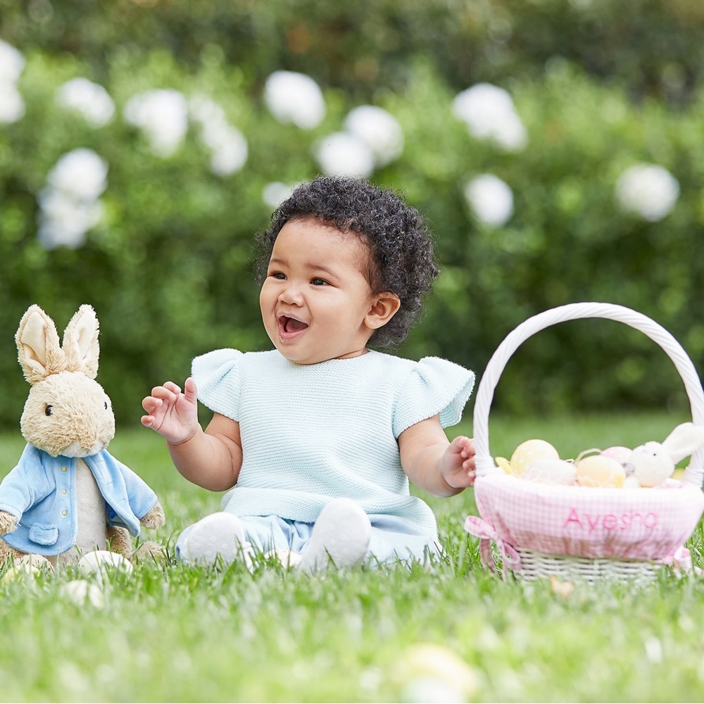 Pottery Barn Kids The World of Beatrix Potter Peter Rabbit Super Soft Plushie 🐰 - Picture 3 of 16